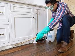 Best Pest Prevention Services  in Poway, CA